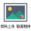 DN50凈化球